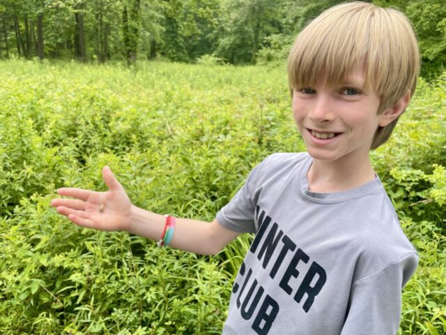 Dillon Mettler