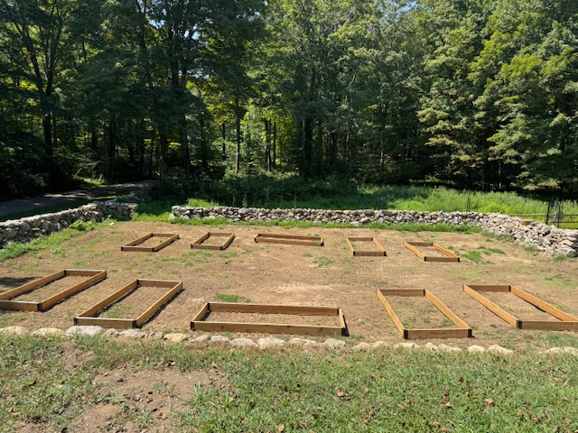 Garden Beds (1)