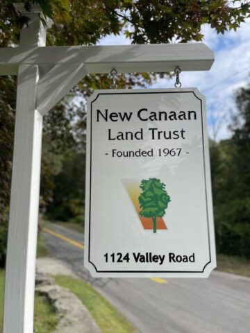 NCLT Sign