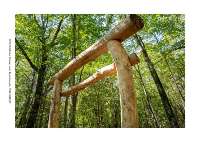Torii